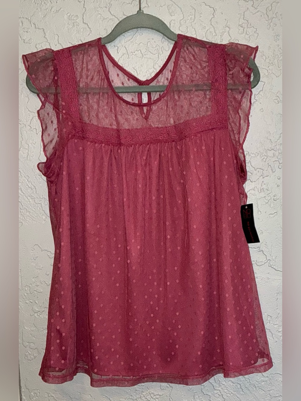 No Boundaries Sheer Dot Swiss-Style Ruffle Sleeve Blouse - Rose